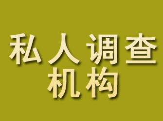 桃江私人调查机构