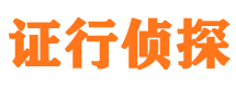 桃江市私家侦探